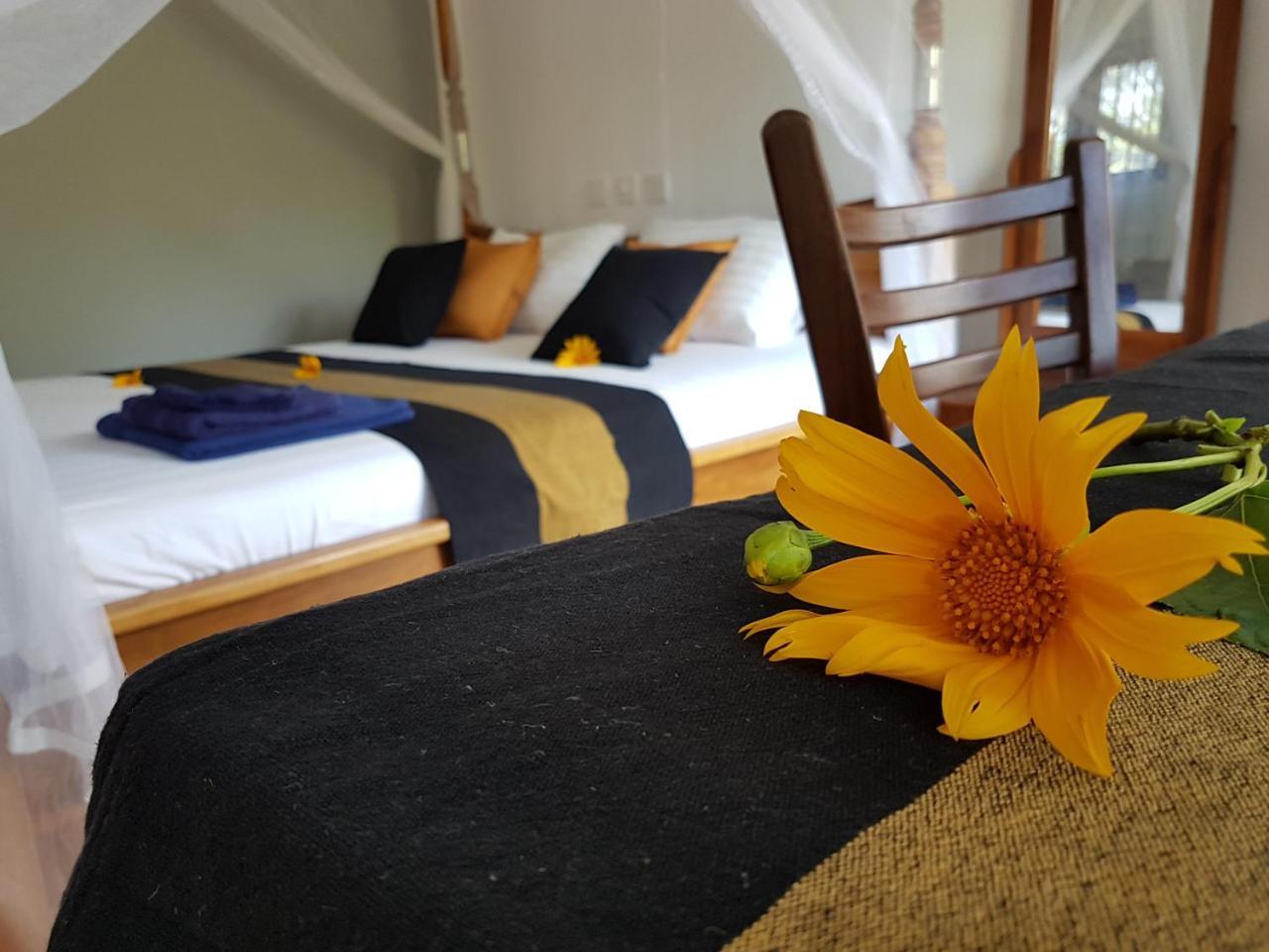 White Villa Beach Resort Mirissa Zewnętrze zdjęcie