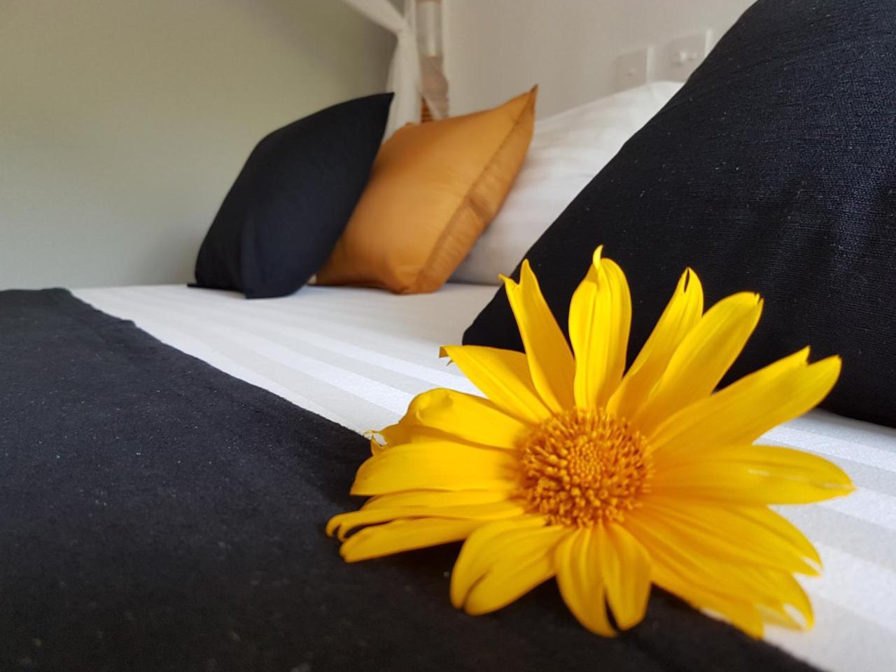 White Villa Beach Resort Mirissa Zewnętrze zdjęcie