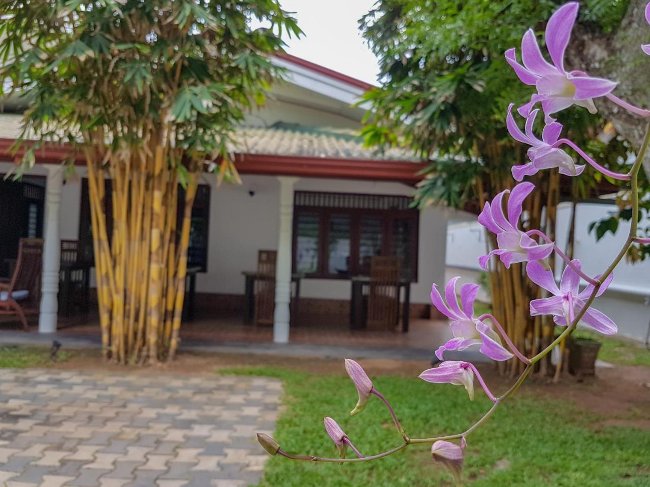 White Villa Beach Resort Mirissa Zewnętrze zdjęcie