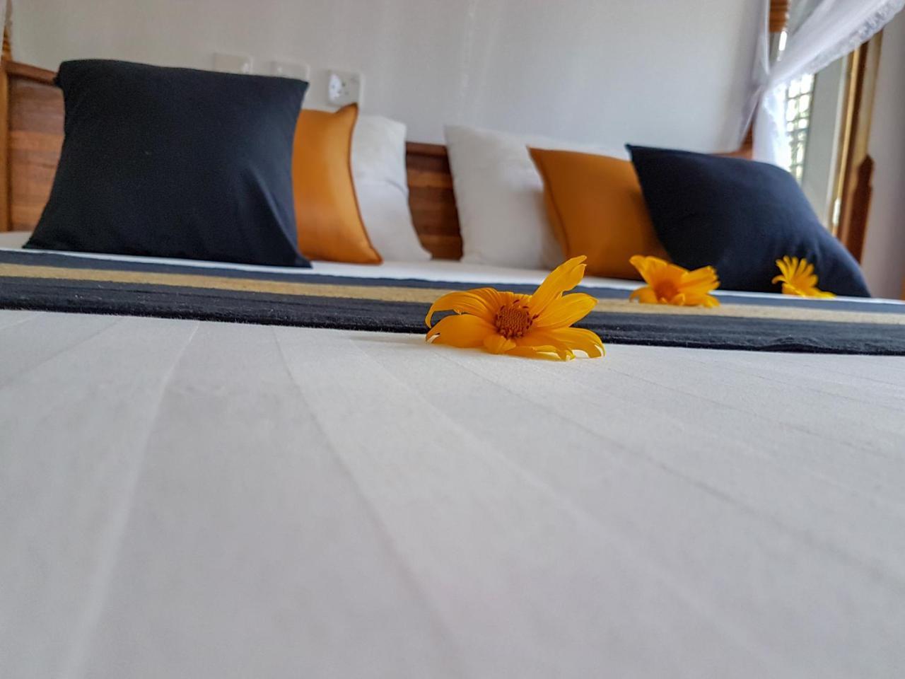 White Villa Beach Resort Mirissa Zewnętrze zdjęcie